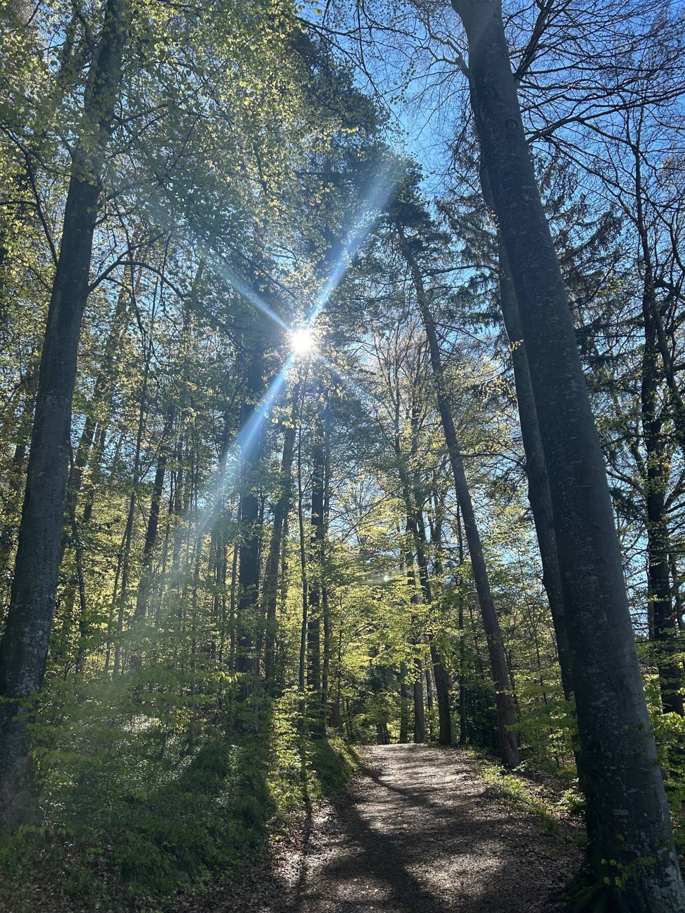 Dorfmärit Oberhofen 2019 Dorfmärit Oberhofen 2019